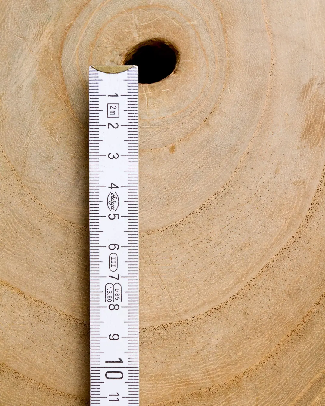 Querschnitt von Kiri-Holz, gemessen mit einem Zollstock