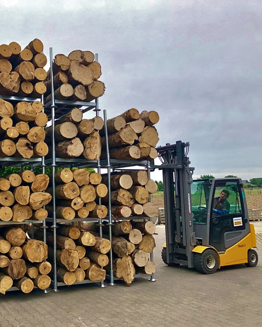 Verarbeitetes leichtes Kiri-Holz im Lager